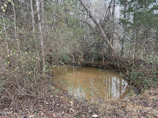 0 Off Allen Chapel Road, Parrottsville, TN 37843