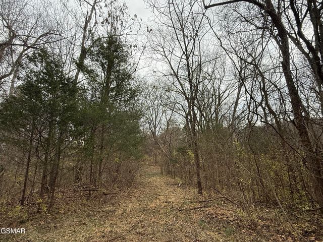 0 Off Allen Chapel Road, Parrottsville, TN 37843