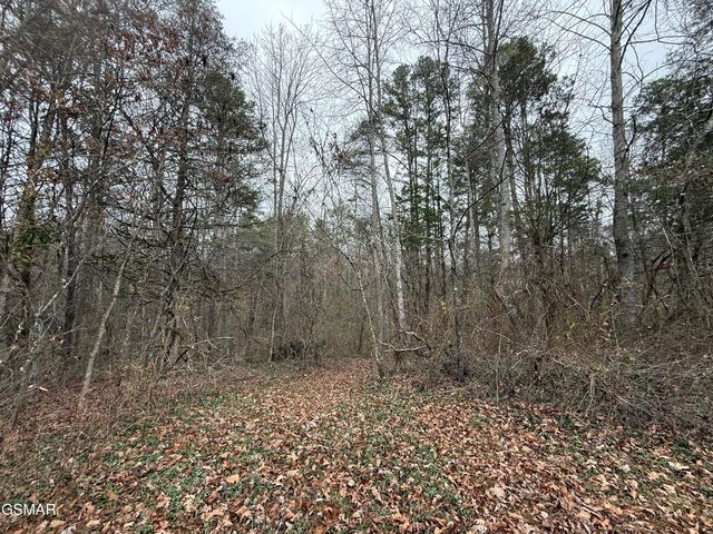 0 Off Allen Chapel Road, Parrottsville, TN 37843