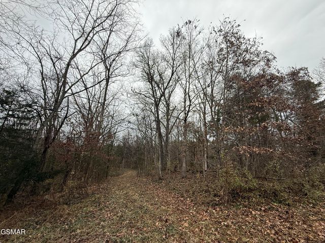 0 Off Allen Chapel Road, Parrottsville, TN 37843