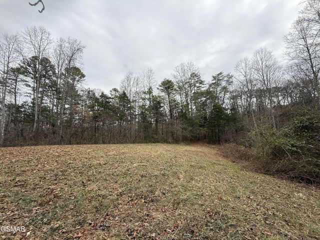 0 Off Allen Chapel Road, Parrottsville, TN 37843