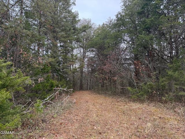 0 Off Allen Chapel Road, Parrottsville, TN 37843