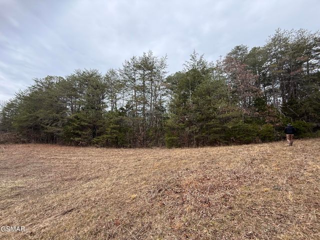 0 Off Allen Chapel Road, Parrottsville, TN 37843