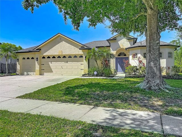 16923 MELISSA ANN DRIVE, Lutz, FL 33558