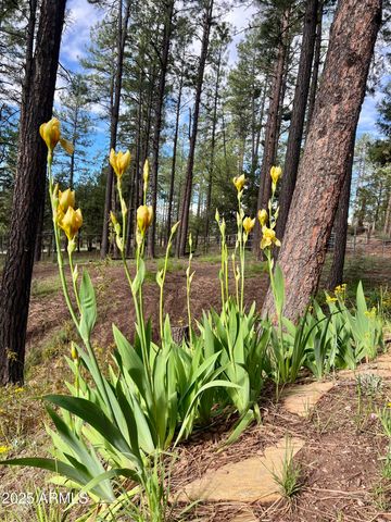 292 S MORRIS MDWS --, Payson, AZ 85541