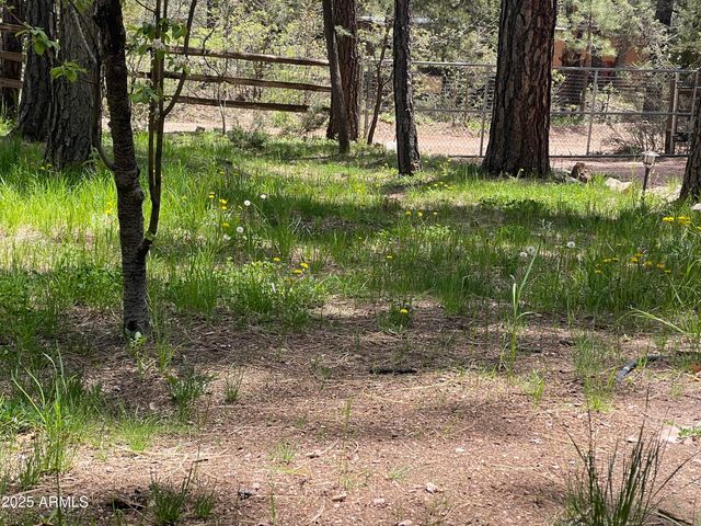 292 S MORRIS MDWS --, Payson, AZ 85541