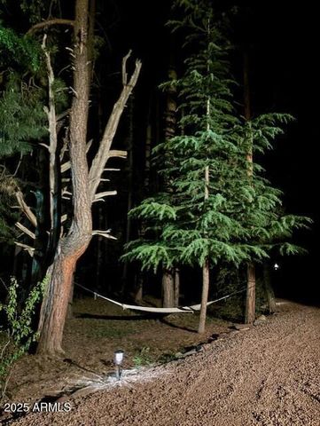 292 S MORRIS MDWS --, Payson, AZ 85541