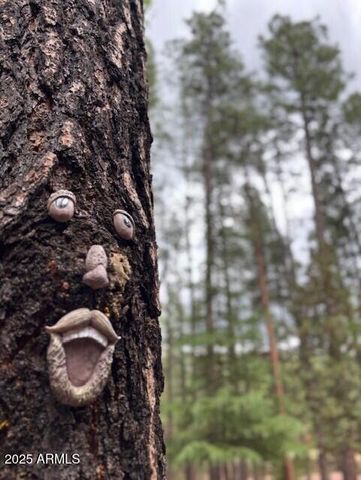 292 S MORRIS MDWS --, Payson, AZ 85541