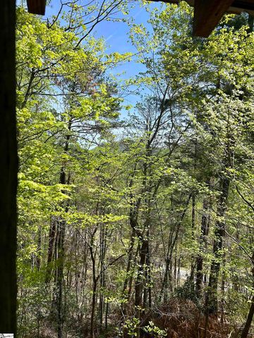 107 Brendart Hill Road, Sunset, SC 29685