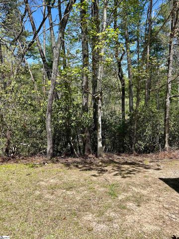 107 Brendart Hill Road, Sunset, SC 29685