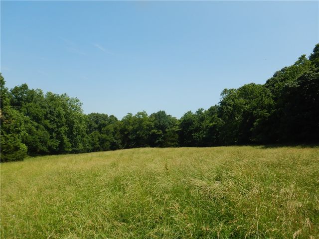 TBD Madison 2700, Kingston, AR 72742