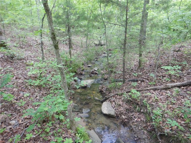 TBD Madison 2700, Kingston, AR 72742