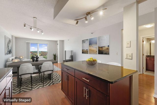 401 S 1st Street 1705, Minneapolis, MN 55401