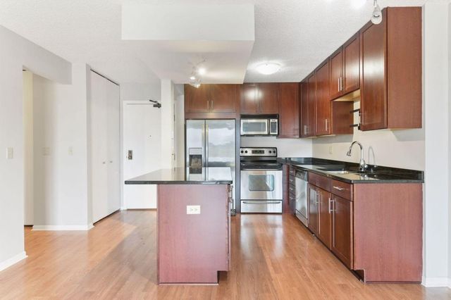 401 S 1st Street 1705, Minneapolis, MN 55401