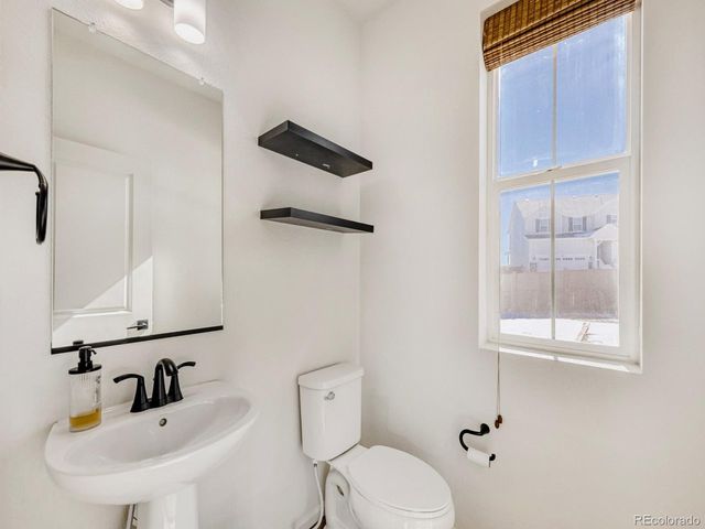 2039 Peachleaf Loop, Castle Rock, CO 80108