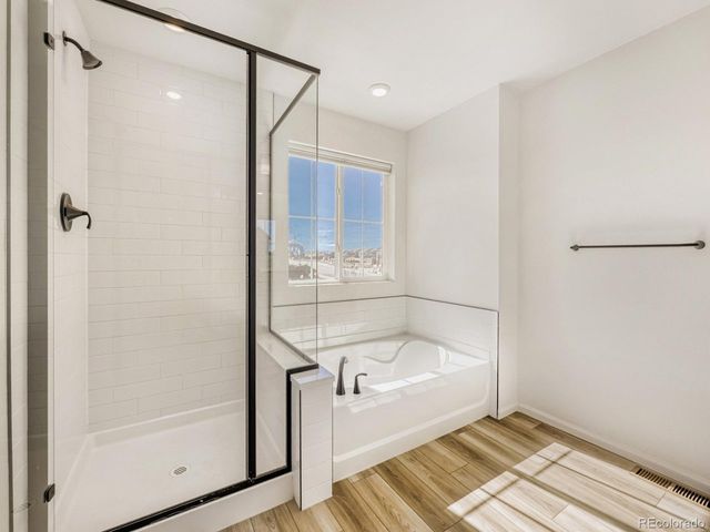 2039 Peachleaf Loop, Castle Rock, CO 80108