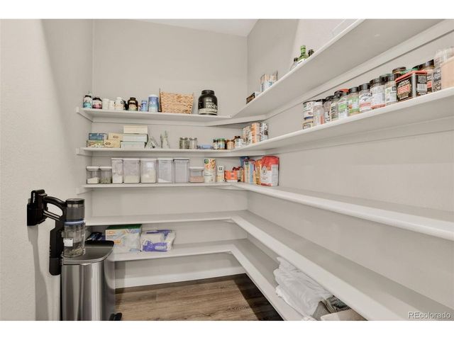 13984 Scarlet Sage St, Parker, CO 80134