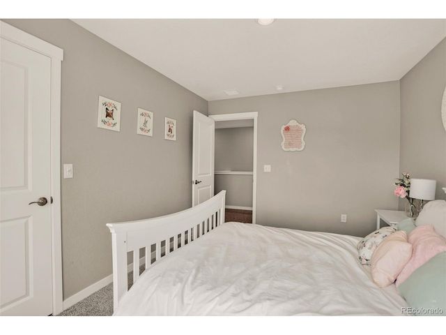 13984 Scarlet Sage St, Parker, CO 80134