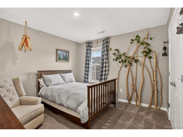 13984 Scarlet Sage St, Parker, CO 80134