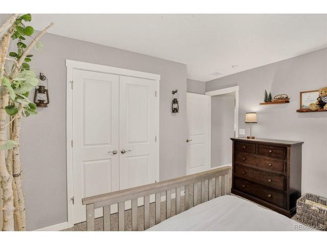 13984 Scarlet Sage St, Parker, CO 80134
