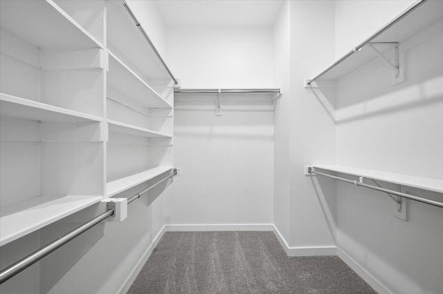 15584 Desert Broom Road, Frisco, TX 75035