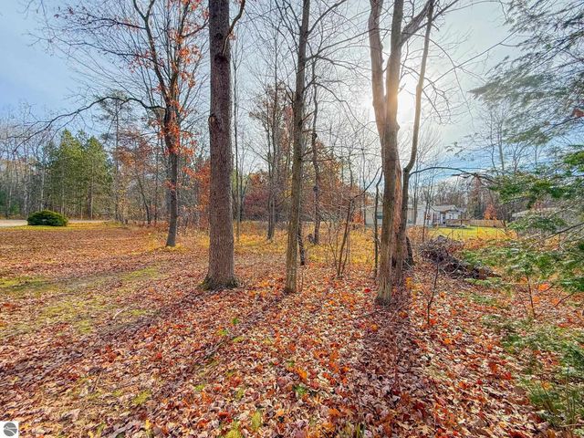 3610 Tower Hill Road, Houghton Lake, MI 48629