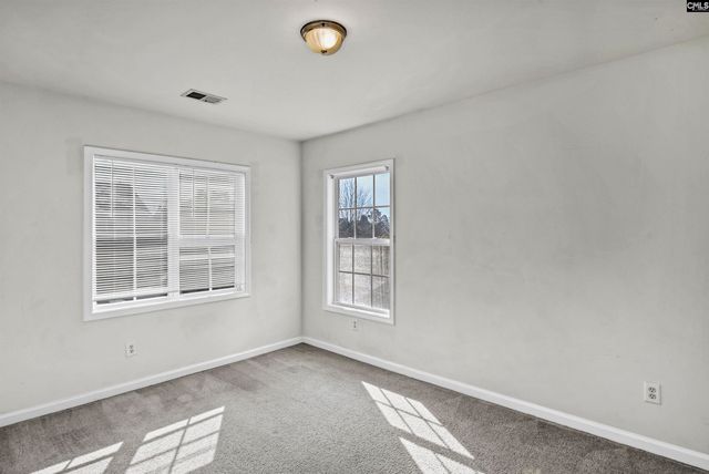 118 Whitton Court, Lexington, SC 29073