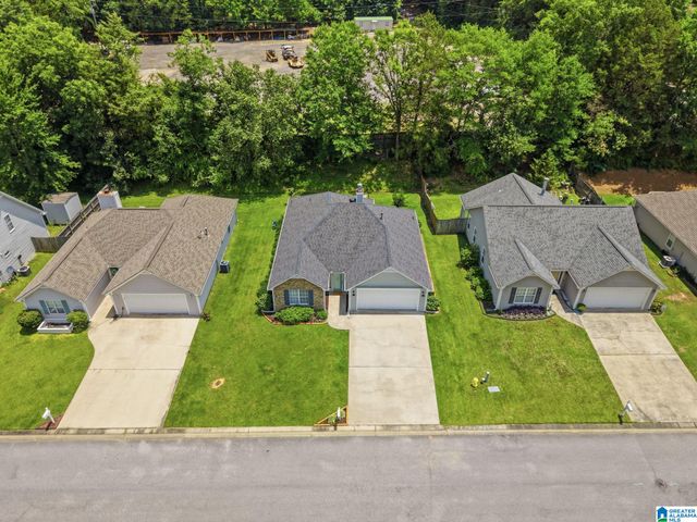 133 LAKE TERRACE, Alabaster, AL 35007