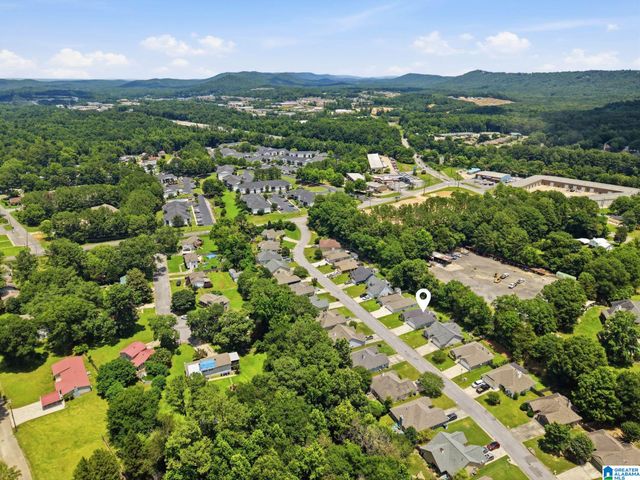 133 LAKE TERRACE, Alabaster, AL 35007