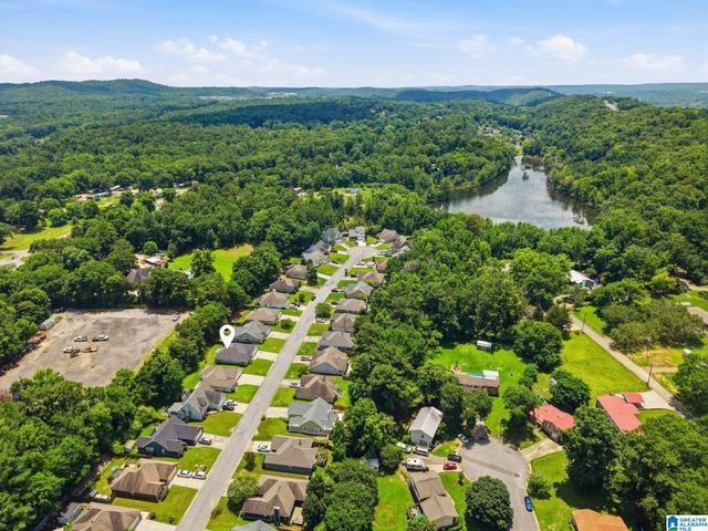 133 LAKE TERRACE, Alabaster, AL 35007