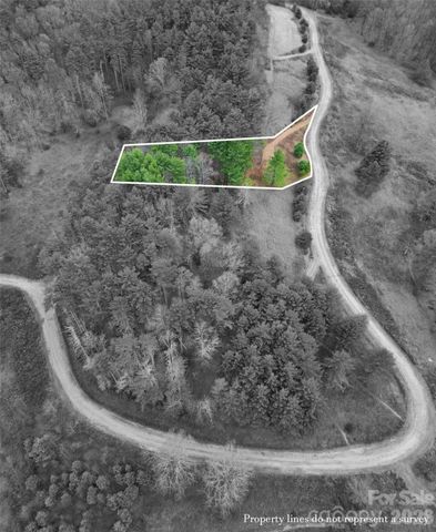 00 Dream Valley Drive 22, Clyde, NC 28721