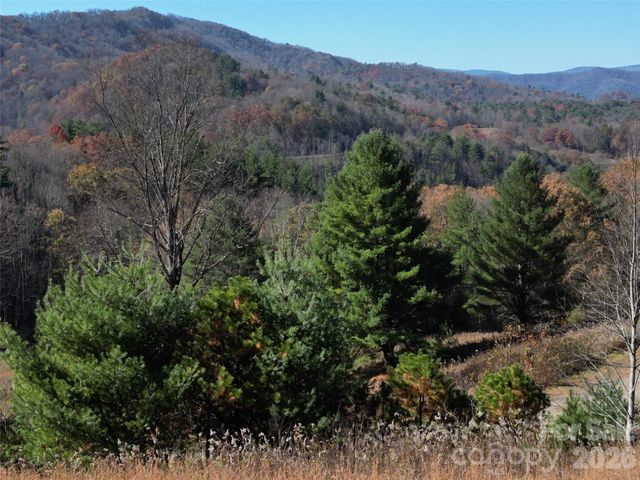 00 Dream Valley Drive 22, Clyde, NC 28721