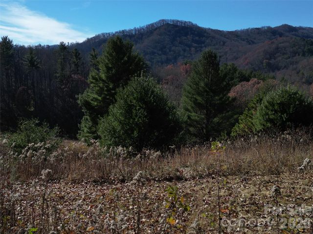 00 Dream Valley Drive 22, Clyde, NC 28721