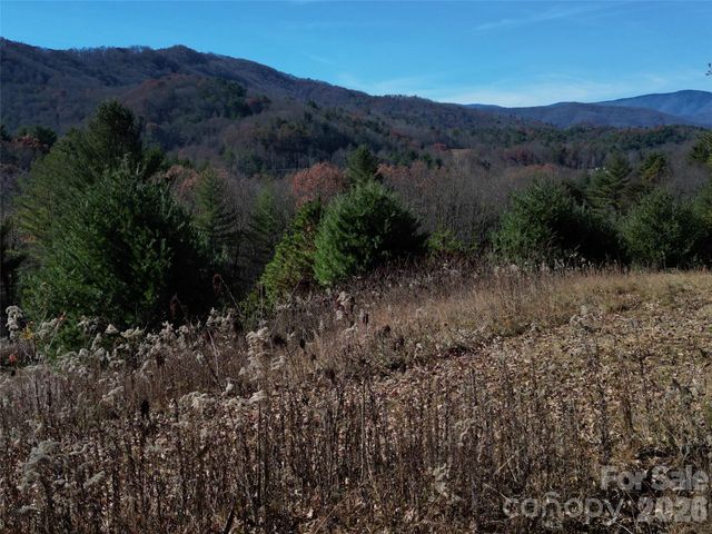 00 Dream Valley Drive 22, Clyde, NC 28721