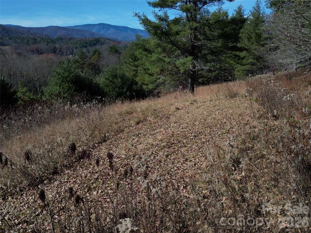 00 Dream Valley Drive 22, Clyde, NC 28721