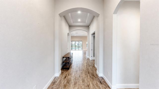 13712 OSPREY FERN LANE, Riverview, FL 33569