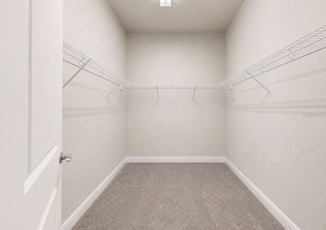 13712 OSPREY FERN LANE, Riverview, FL 33569