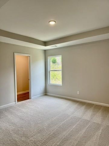 228 Black Walnut Way, Canton, GA 30114