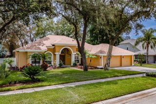 10131 PADDOCK OAKS DRIVE, Riverview, FL 33569