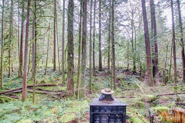 22 Wilderness Way, Deming, WA 98244