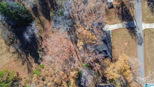 70 S DAKOTA AVENUE, Thorsby, AL 35171