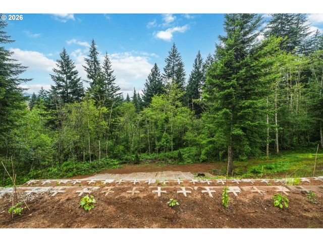 15317 Ne WINSOR Dr, Brush Prairie, WA 98606