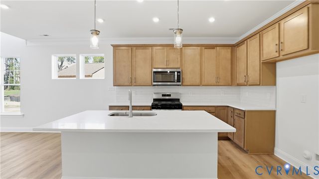 10342 Szalay Ln, Ashland, VA 23005