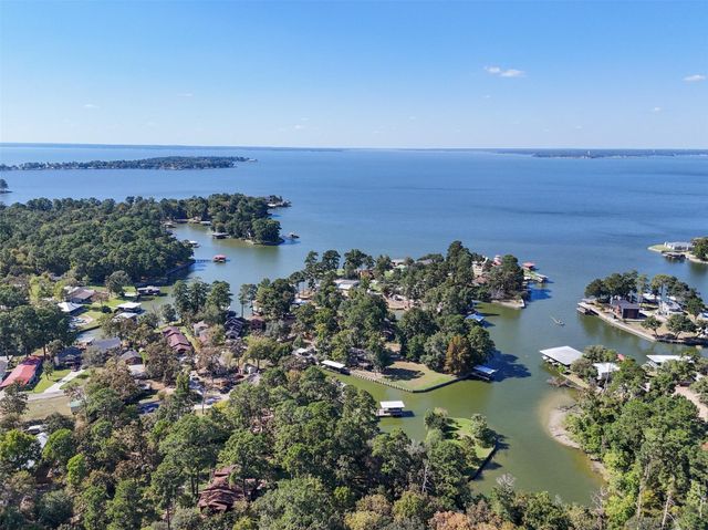 124 Timbo Trail, Livingston, TX 77351