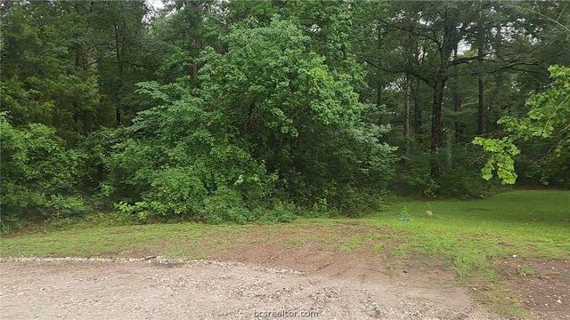 1017 Weeping Willow Drive, Plantersville, TX 77363
