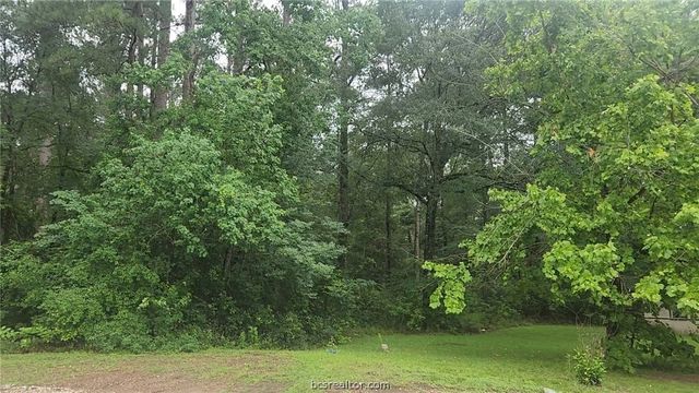 1017 Weeping Willow Drive, Plantersville, TX 77363