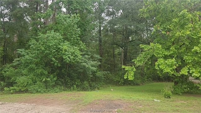 1017 Weeping Willow Drive, Plantersville, TX 77363