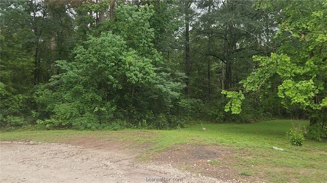 1017 Weeping Willow Drive, Plantersville, TX 77363