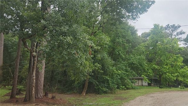 1017 Weeping Willow Drive, Plantersville, TX 77363