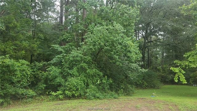 1017 Weeping Willow Drive, Plantersville, TX 77363
